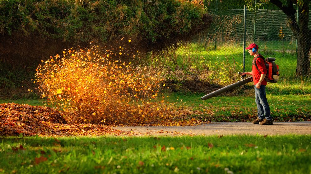 fall yard clean up and leaf removal