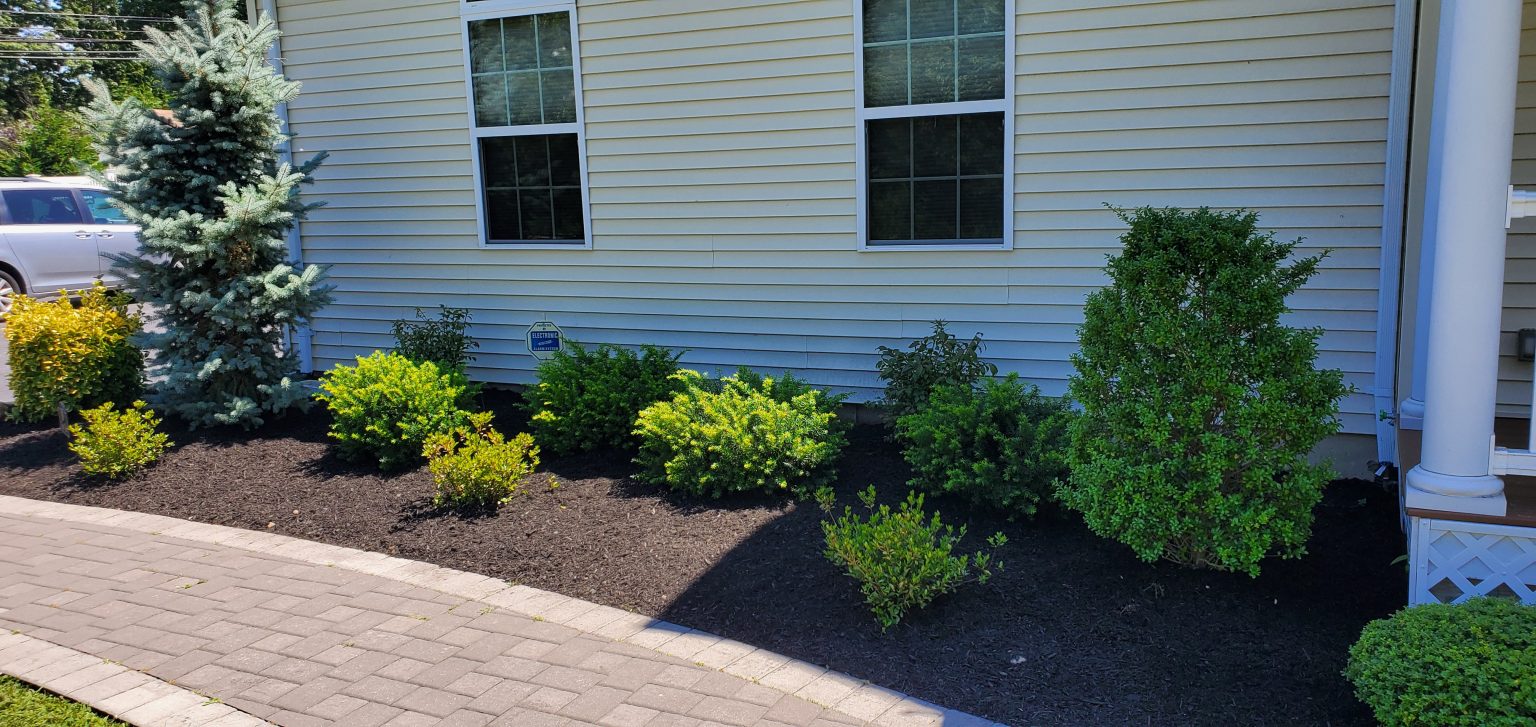 MSG Lawn Care Coram NY Landscaping Coram NY Residential & Commercial