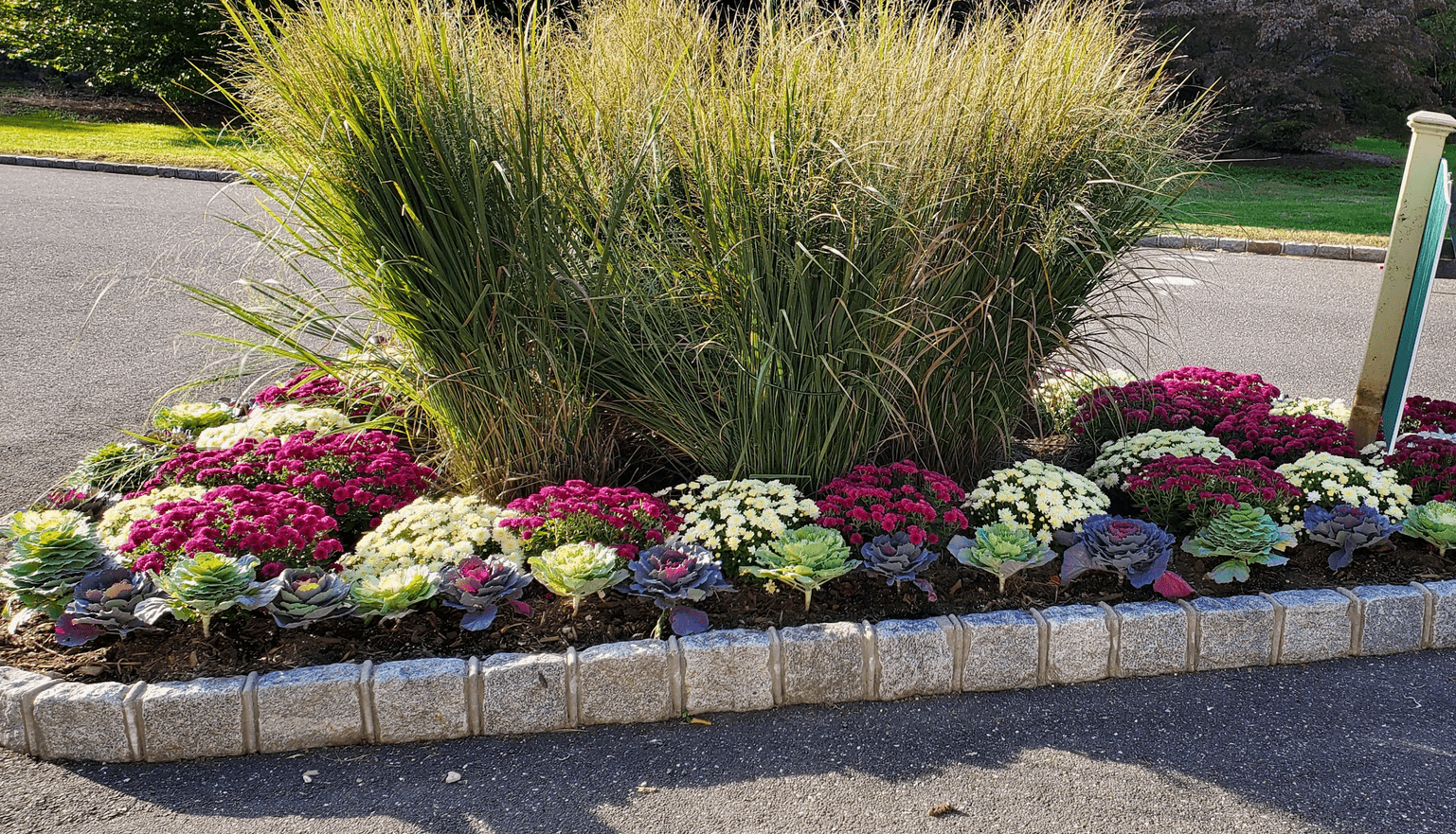 planting flower and ornamental grasses