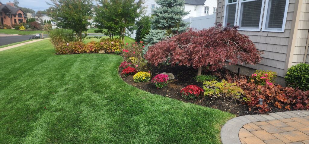 Best Spring Flowers for Stunning Landscape Design
