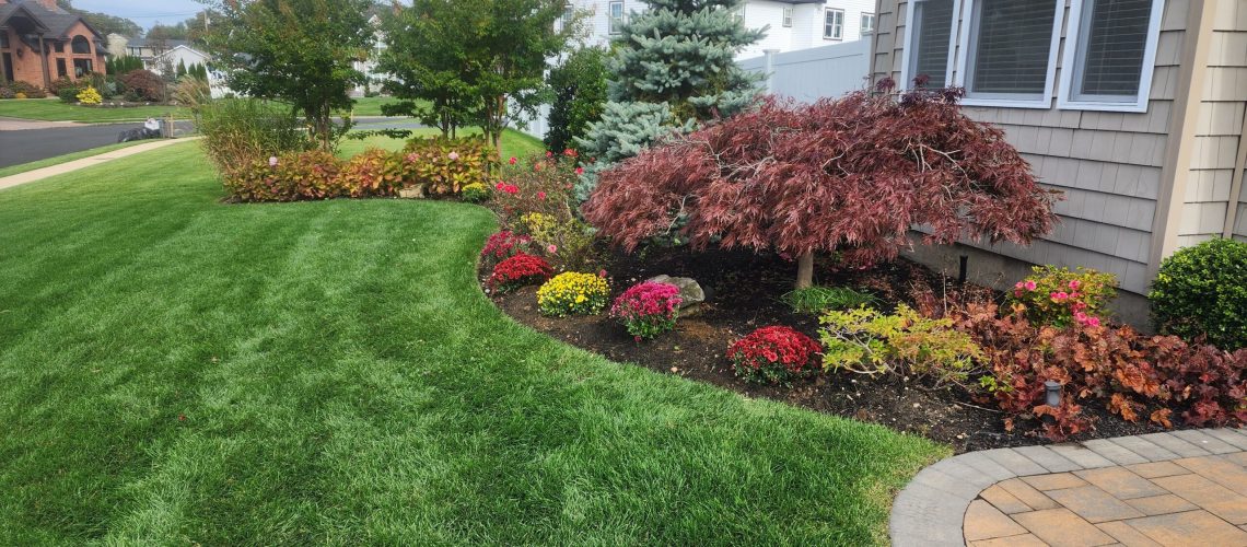 7 Perennials to Elevate Your Coram, NY Lawn: April Planting Guide