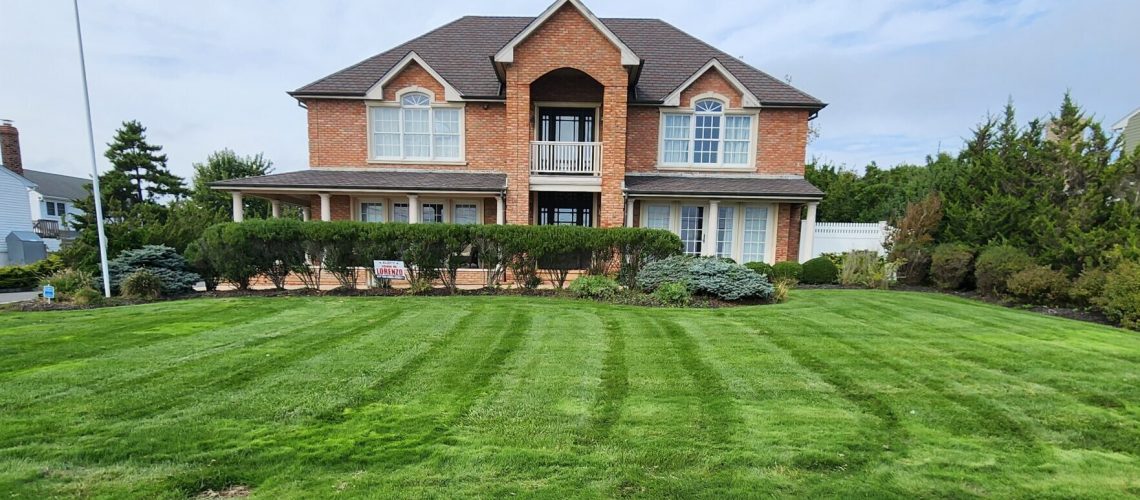 fertilizer application