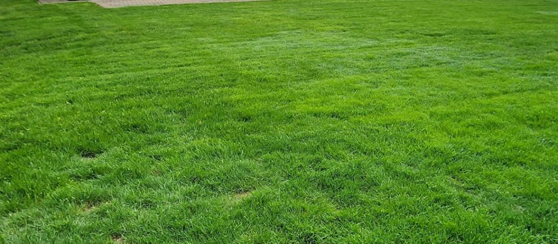 Making Solid Ground Lawn Care