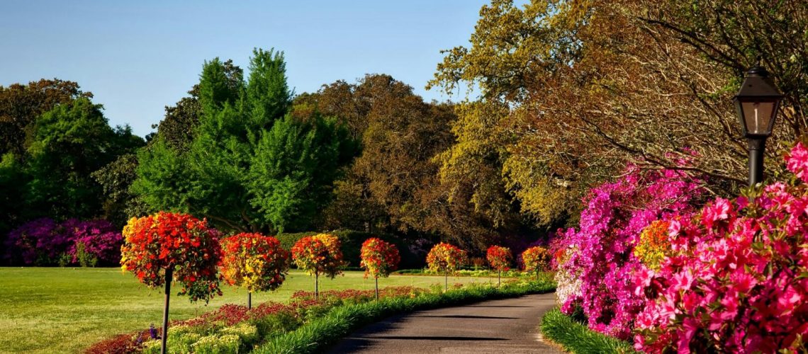 Making Solid Grown Lawn Care