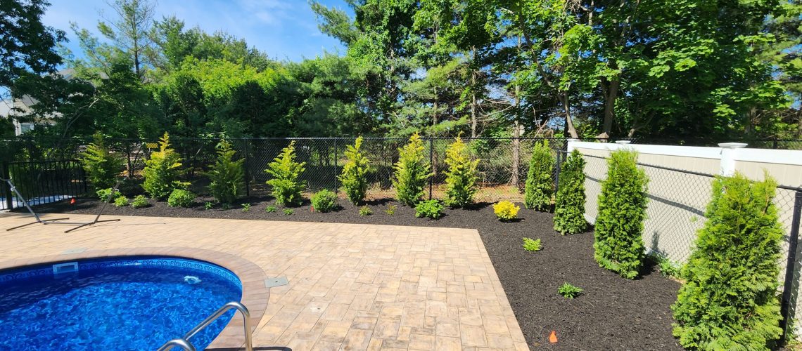 Making Solid Grown Lawn Care