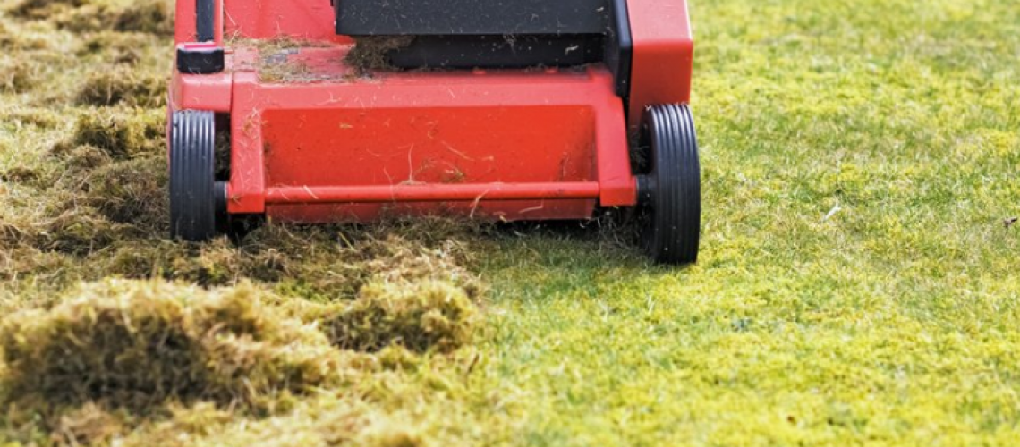 Making Solid Grown Lawn Care
