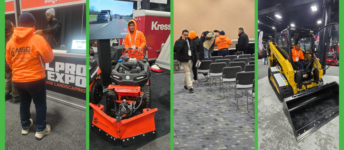 Making Solid Grown Lawn Care Making Solid Grown Lawn Care