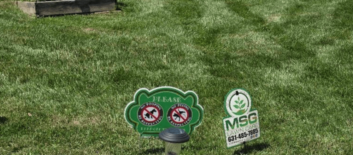 Making Solid Ground (1)