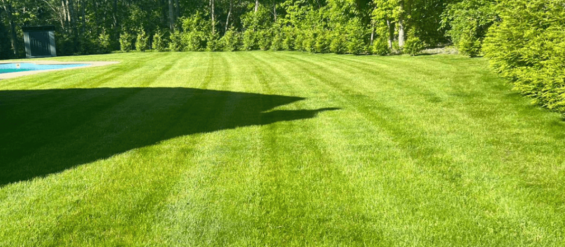 Making Solid Ground