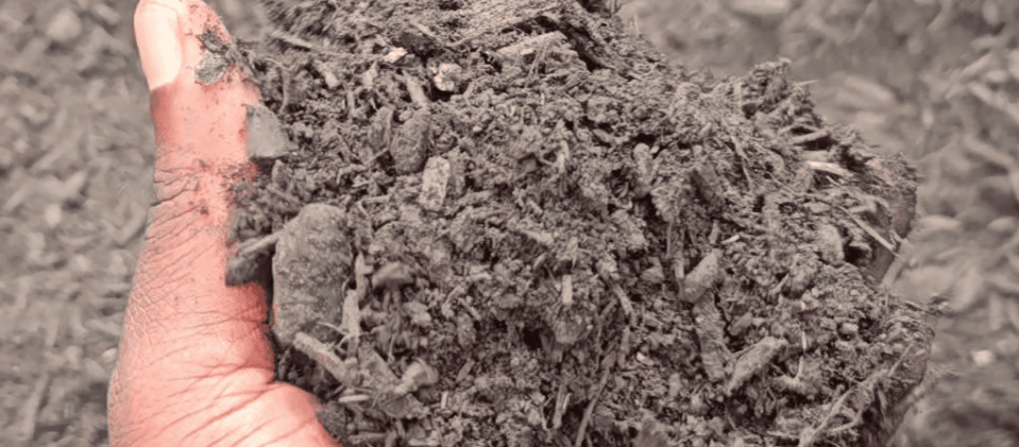 Making Solid Ground