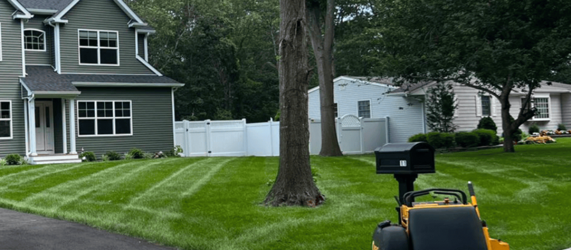 [NEW) MSG Social Posts