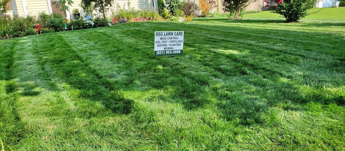 best lawn care Suffolk County