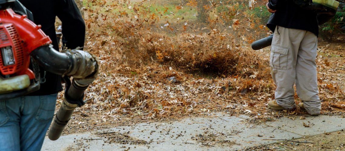 fall lawn care tips
