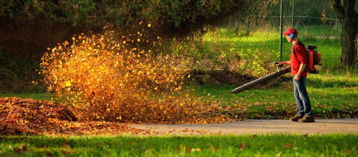 fall yard clean up and leaf removal
