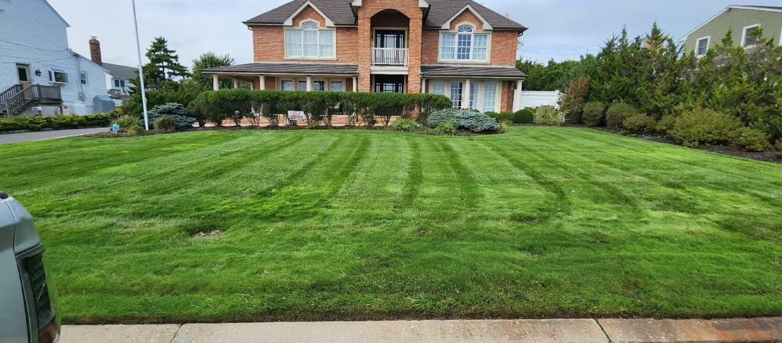 lawn care company