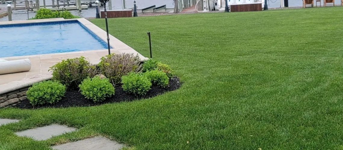 lawn service