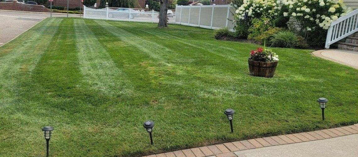 choosing a lawn care company