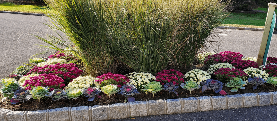 planting flower and ornamental grasses
