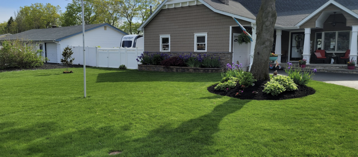 yard grading